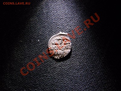 Чешуйки - RIMG1414.JPG