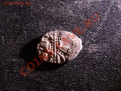 Чешуйки - RIMG1418.JPG