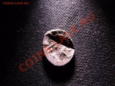 Чешуйки - RIMG1427.JPG