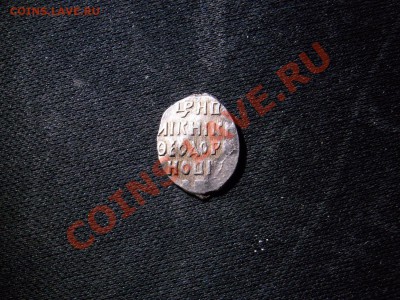 Чешуйки - RIMG1416.JPG
