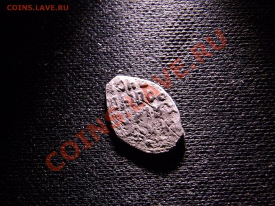 Чешуйки - RIMG1428.JPG