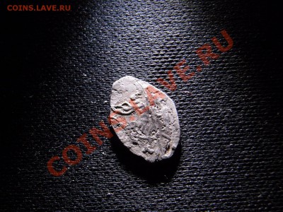 Чешуйки - RIMG1429.JPG