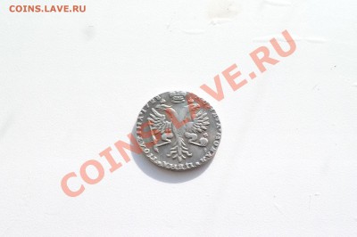ПОЛТИНА ПЕТРА ВТОРОГО,1728г. до 02.02.13г. 22-00мск. - P1020098.JPG