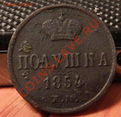 полушка____ 1854   ем   до 1.02.2013 - DSCN6659.JPG
