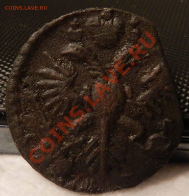 Денга  1731-1739-1740-1745-1750 (итого 7 монет)  до 01.02.13 - DSCN6722.JPG