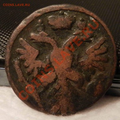 Денга  1731-1739-1740-1745-1750 (итого 7 монет)  до 01.02.13 - DSCN6729.JPG