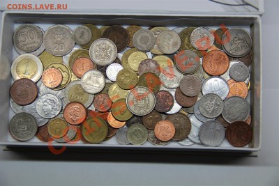 Иностранные ЛОТАМИ-Много ЭКЗОТИКИ - IMG_6653 (Large).JPG