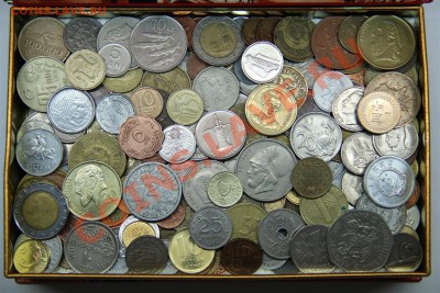 Иностранные ЛОТАМИ-Много ЭКЗОТИКИ - IMG_7543 (Large).JPG
