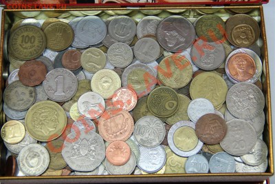 Иностранные ЛОТАМИ-Много ЭКЗОТИКИ - IMG_7537 (Large).JPG