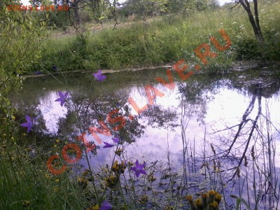 делает - прямо сейчас !!! - 2012-05-27 17.12.24