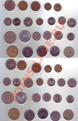 New Faithlezz exchange - TSHU-1