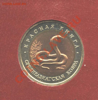 Кобра, Красная книга, 1992, Смещение - ImageKK1