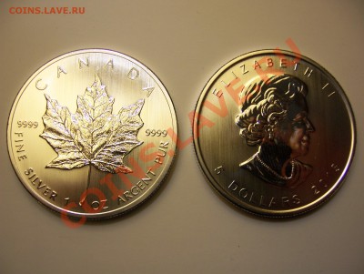 Серебрянные доллары США и Канады 2013 год - 100_3507.JPG