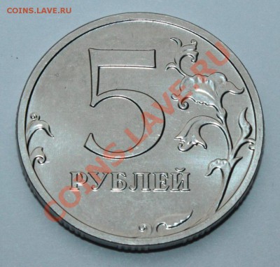 Ходячка 2013 года - 5
