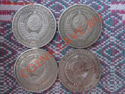 годовики 1р- 10 шт. до 22-00 5.02.13 - годовики 019.JPG