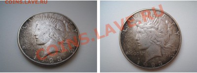 Доллары США 1889, 1891, 1921 и 1923 - 1923.JPG