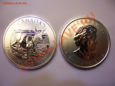 Серебрянные доллары США и Канады 2013 год - 100_3509.JPG