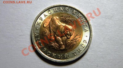 Красная книга. Амурский тигр. СУПЕР ШАНС!!!9.02.2012 - 17,.JPG