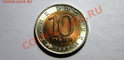 Красная книга. Амурский тигр. СУПЕР ШАНС!!!9.02.2012 - 17.JPG
