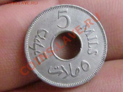 Египет на оценку - 2.JPG