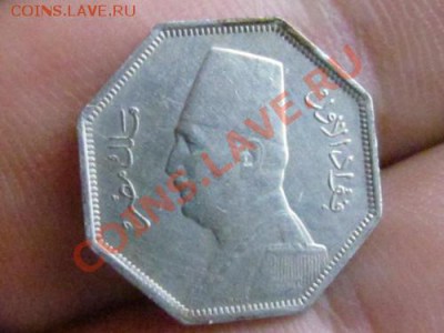 Египет на оценку - 3.JPG