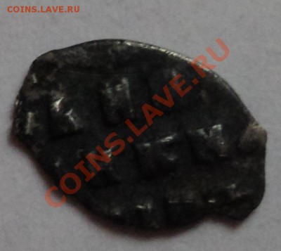 ЧЕШУЙКИ НА ОЦЕНКУ - DSC04002.JPG