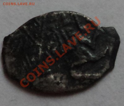 ЧЕШУЙКИ НА ОЦЕНКУ - DSC04003.JPG