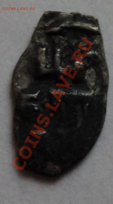 ЧЕШУЙКИ НА ОЦЕНКУ - DSC04008.JPG
