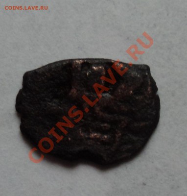 ЧЕШУЙКИ НА ОЦЕНКУ - DSC04013.JPG