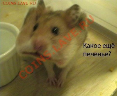 юмор - c3w9uaeb67v5