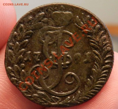 денга    1791   КМ  (волосатость)   предпродажная оценка - DSCN6913.JPG