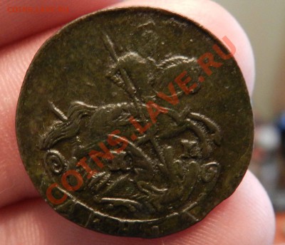 денга    1791   КМ  (волосатость)   предпродажная оценка - DSCN6911.JPG
