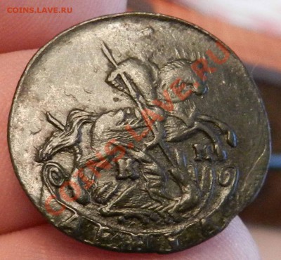 денга    1791   КМ  (волосатость)   предпродажная оценка - DSCN6904.JPG