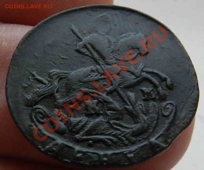 денга    1791   КМ  (волосатость)   предпродажная оценка - DSCN6896.JPG