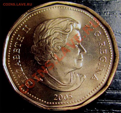 U03 Канада 1$ 2005 Terry Fox UNC до 10.02 в 22°° - U03 1$ 2005 Terry Fox_2