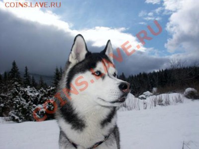 ВАЛЕРИЙ ДЕРЕВЕНСКИЙ - 26