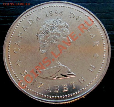 W24 Канада 1$ 1984 Jacques Cartier до 10.02 в 22°° - W24 Canada 1$ 1984 Jaques_2
