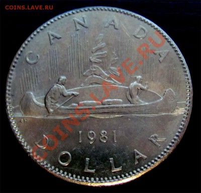 W25 Канада 1$ 1981 Вояджер до 10.02 в 22°° - W25 Canada 1$ 1981_1