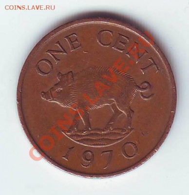 Бермуды.Цент.1970.Свинья. 10.02.13 в 22.00мск - 1970.JPG