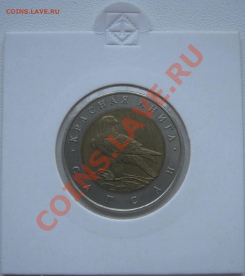 Красная книга 1994г.  до 8.02.2013   22.00мск - сапсан1.JPG