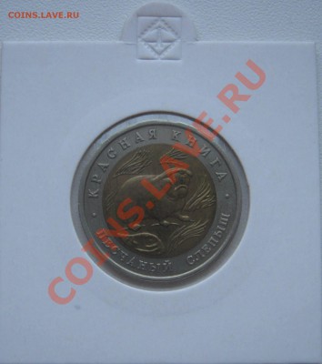 Красная книга 1994г.  до 8.02.2013   22.00мск - слепыш1.JPG