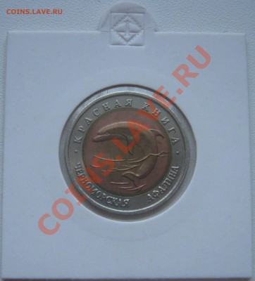 Красная книга 1993г.  до 8.02.2013   22.00мск - афалина1.JPG
