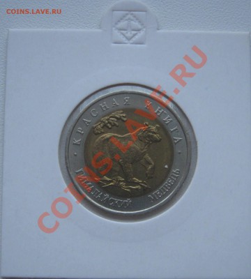 Красная книга 1993г.  до 8.02.2013   22.00мск - медведь1.JPG