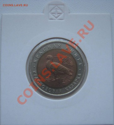 Красная книга 1992г.  до 8.02.2013   22.00мск - казарка 1.JPG
