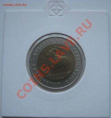 Красная книга 1991г.  до 8.02.2013   22.00мск - козёл1.JPG