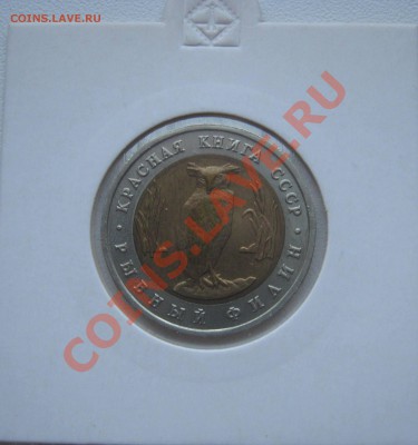 Красная книга 1991г.  до 8.02.2013   22.00мск - филин1.JPG