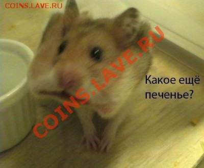 юмор - c3w9uaeb67v5