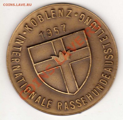 Кобленц 1957 Собачья выставка до 11.02.13 в 22.00мск (4441) - img777