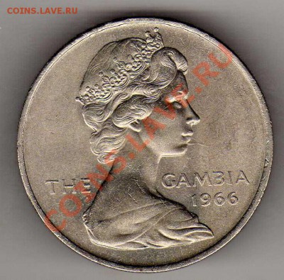 Гамбия 2 шиллинга 1966 Буйвол до 11.02.13 в 22.00мск (4300) - img813