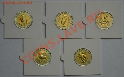 Красная книга 1991-1993 до 08.02.13 22:00 - SDJ_2791.JPG